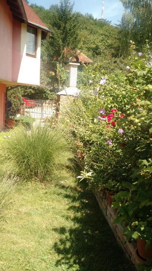 Apartman House Annesa SJJ Exteriér fotografie